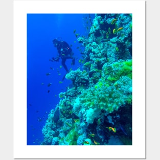 Coral reef and scuba diver Posters and Art